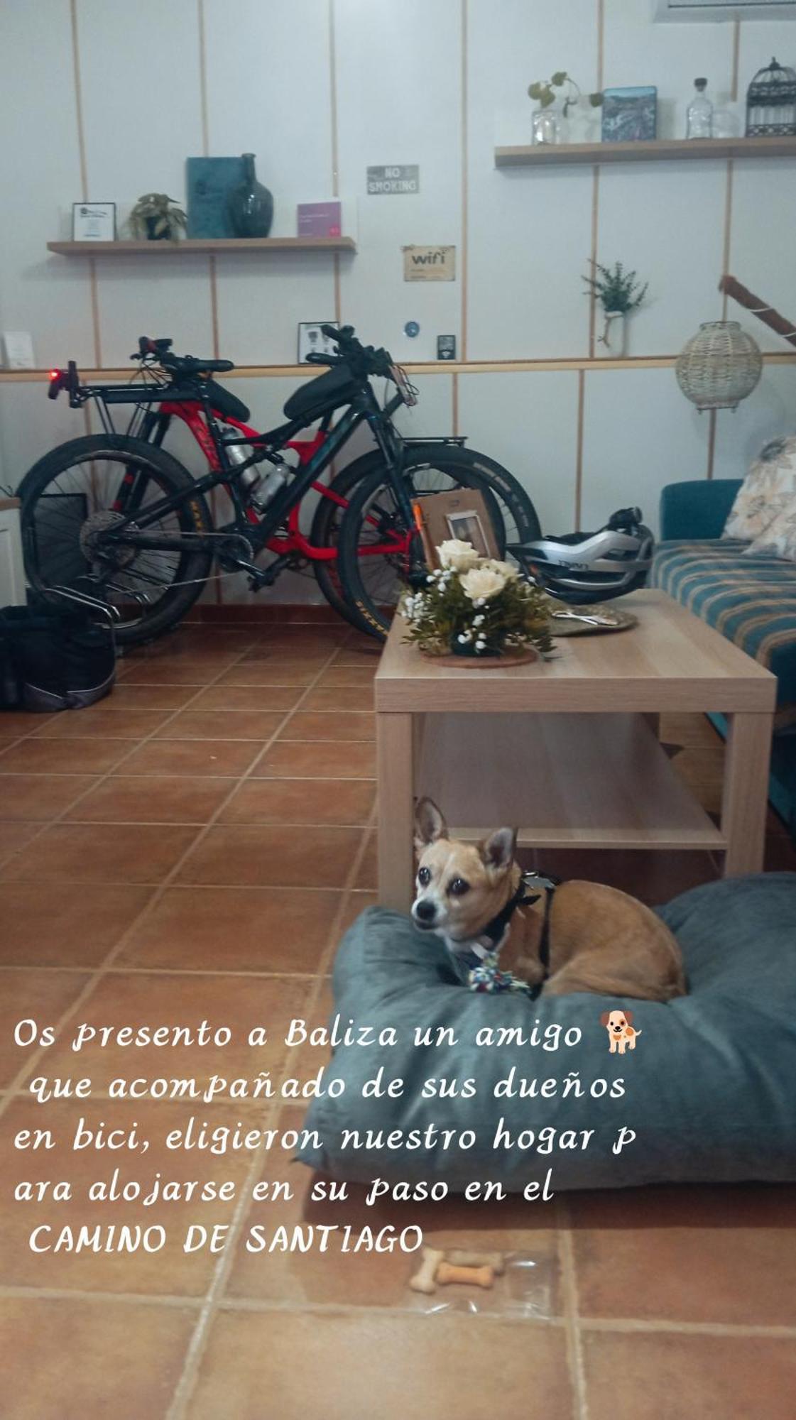 Casa Rural Exedra 3 Estrellas Carcaboso Eksteriør billede
